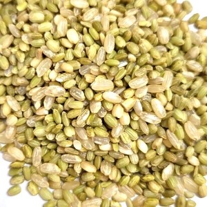 쌀(녹미) 1kg (Oryza Sativa Kernel (Green Rice)) 국산